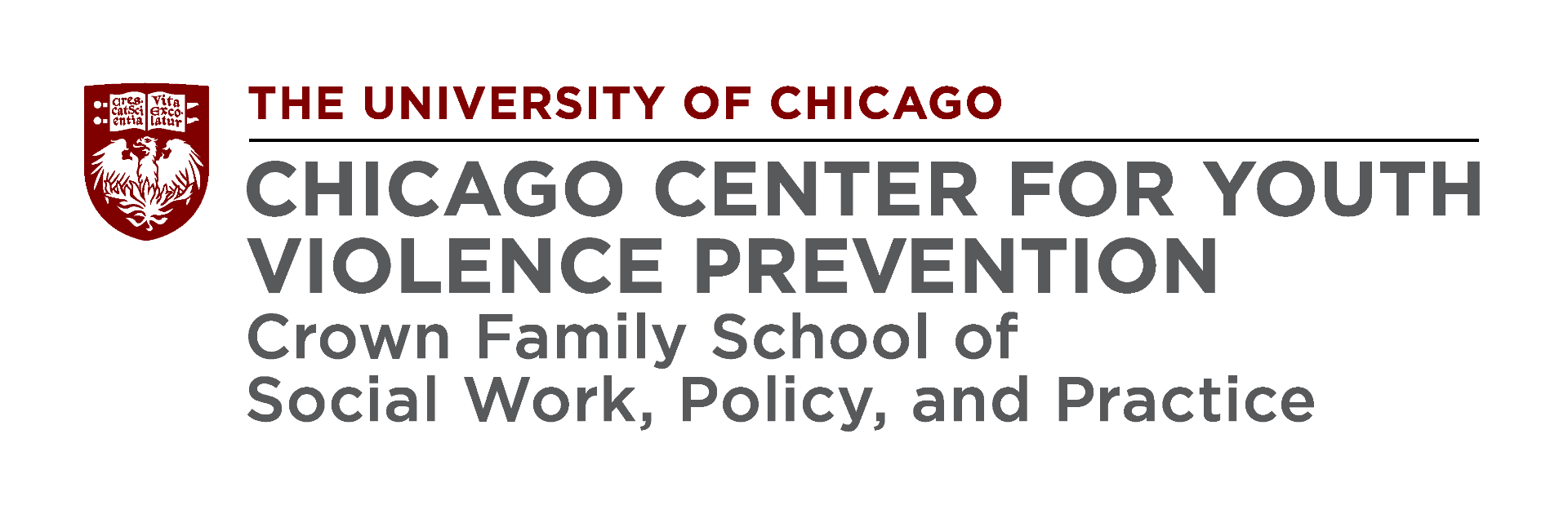 Chicago Center for Youth Violence Prevention